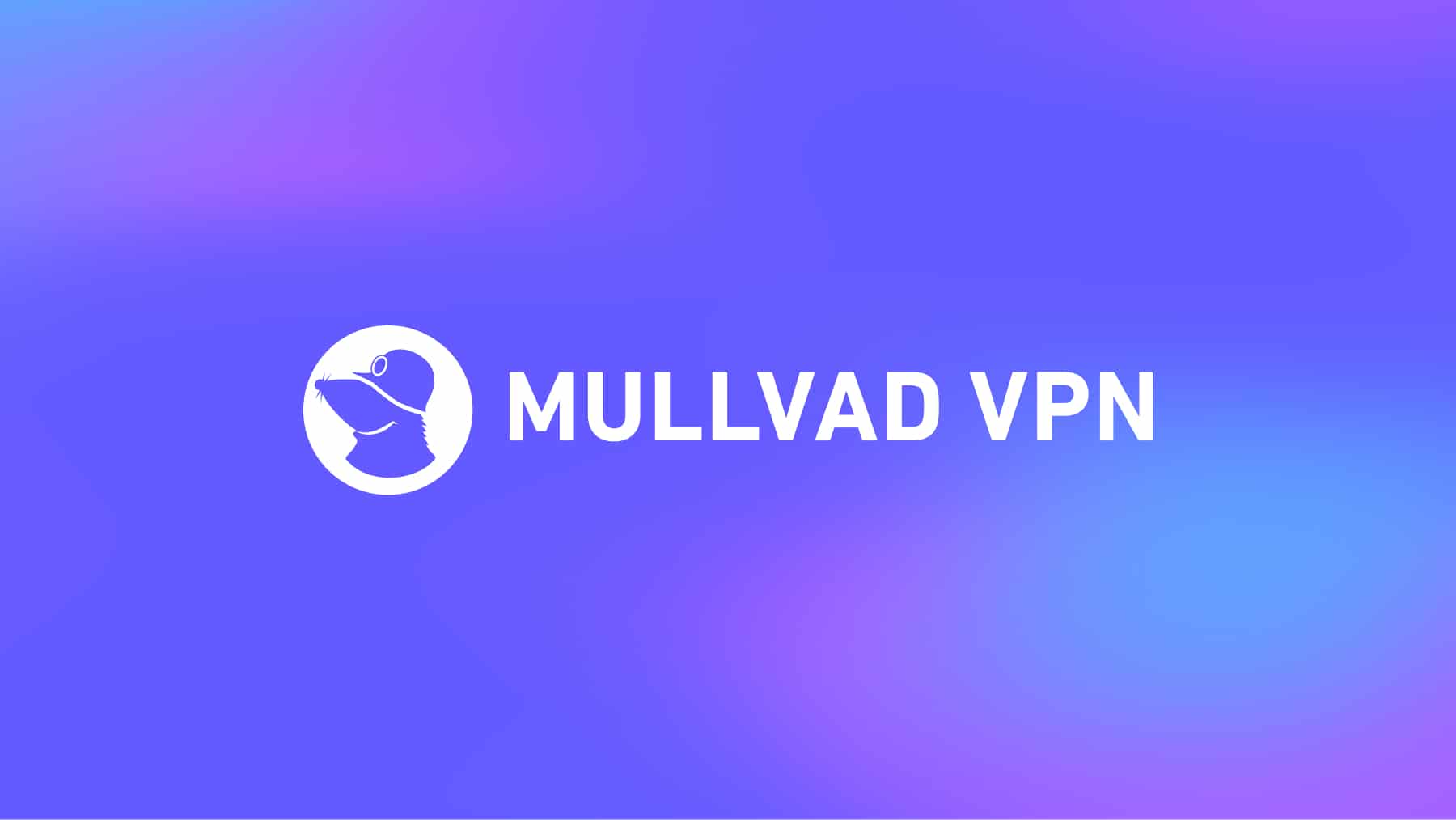 Mullvad VPN Review