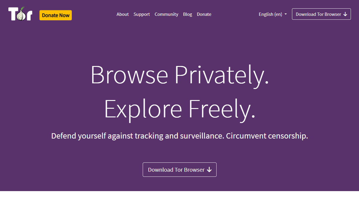 best vpns dark web how to download tor